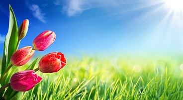 Fotolia_78749435_XS