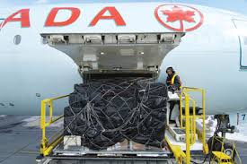 4 gains majeurs pour Air Canada Cargo en passant du papier à une application mobile