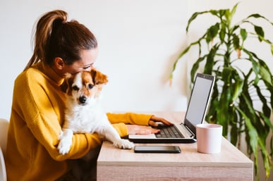 young-woman-working-laptop-home-cute-small-dog-besides-work-from-home